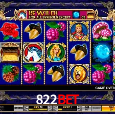 822BET Rio de Janeiro - Bonus Terms
